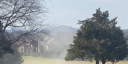 ‘Pollen Bomb’ caught on video in Franklin — month ahead of peak allergy season