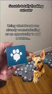 1.1K views · 32 reactions | Why do dogs howl? Howling can serve many...