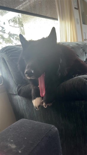 s.o.s.tori (@s.o.s.tori)’s videos with original sound - English Pub Funny Videos