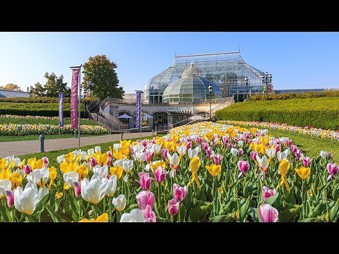Welcome to Phipps Conservatory and Botanical Gardens