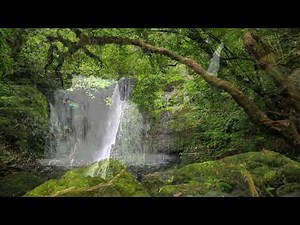 Behind The Waterfall - David Lanz & Paul Speer Piano
