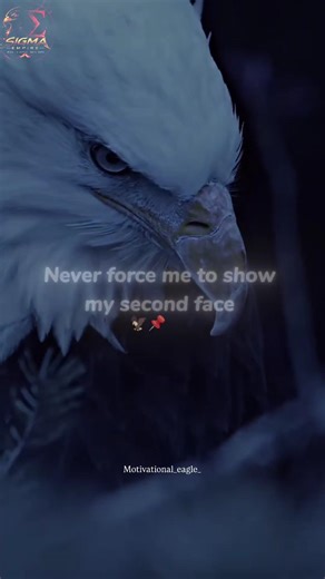 Day 31 of 100 eagle motivation 💪💯🦅💢 #masterpiece #eagles #quotes #motivation #trueinspiration