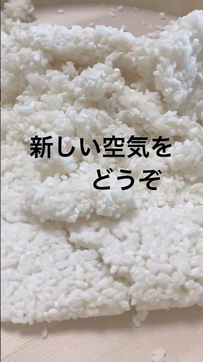 【米麹造り】麹ができるまで～#short,#発酵食,#日本文化,#japanesefood