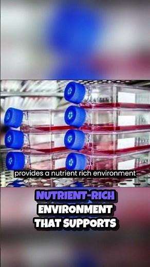 Unlocking the Secrets of Cell Culture From Petri Dishes to Bioreactors 🧫