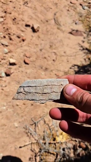 9.3K views · 212 reactions | A midden is basically a trash heap or items the indigenous discarded. Sometimes, it feels like the whole canyon is midden and you can walk for miles and see amazing things everywhere. You gotta watch each step. 落酪 #ruins #explore #trek #hike #nativeamerican #indigenous #archeology #pottery #rockart #petroglyphs #arrowhead #artifacts #ancienthistory #ancientartifacts | The Outdoor Adventure | Facebook