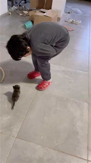 OUR NEW FRIEND IS CUTE CAT #elifecrin # keşfet