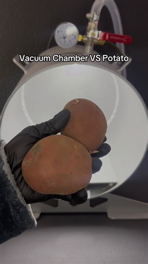 Vacuum Chamber VS Potato… #fyp #vacuum #creatorsearchinsights #sciencefun #oddlysatisfyingvideo