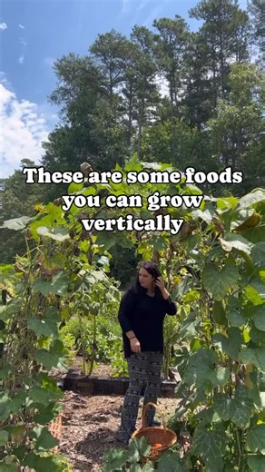 Vertical gardening can TRIPLE your production. Try making trellises from cattle panels, bamboo poles, or even hortinova netting (works great for peas!). I’m Amber and I am growing 80% of my family’s food in our backyard. Comment SUBSCRIBE and I’ll send you my book of tips for beginner gardeners as a free gift. 🌱 #organicgardening #growfoodnotlawns #homesteading #selfsufficient #homesteaders #gardening #oldfashioned #backyardgardening #gardening101 #verticalgardening #verticalgarden #gardeningtr