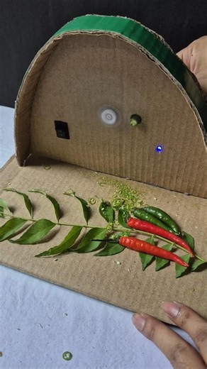 How to make vegetable cutting machine at home with cardboard | #shorts #dcmotor #diy