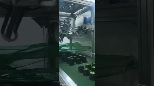 High Precision Injection Molding Labeling Machine for Plastic Packaging | Icy Zhao
