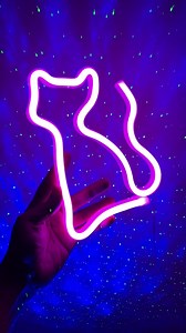10K views · 26 reactions | Cat Neon Sign LED Cat Neon Lights DIY Neon Lights Available in Stock  | ColorQo.com.bd | Facebook