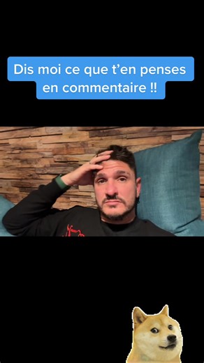 Chihuahua Chanteur: Réaction Bizarre du Chien - Vidéo Virale 🐕🎶