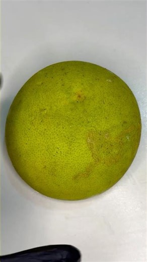 Fruit variety model cutting amazing star model