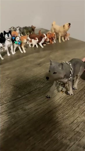 My first Schleich short#schleich