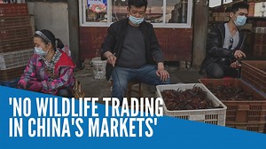 China Ministry of Foreign Affairs denies there are wet markets in China and says a "comprehensive ban" is in place on the "illegal wildlife" trade. US Secretary of State Mike Pompeo said wildlife wet markets create risks for the spread of Covid-19 and called on China and other countries to permanently close wildlife wet markets. #coronavirus | INQUIRER.net