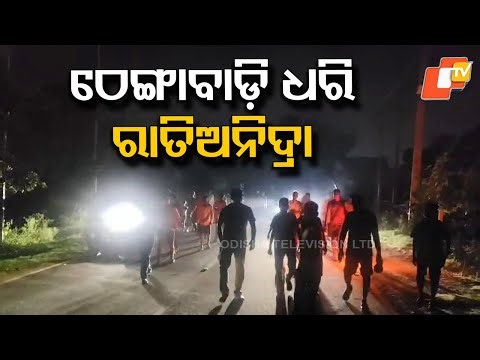 “Elephants Forced Out of Forests Struggle to Survive in Villages, Odisha Forests”