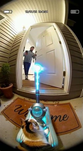 Why Does My Cat Have an Extraterrestrial Tank?! 😂