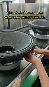 18" double magnet sub in 4" voice coil with high power quality Audio Point #audiopoint #sound #livesound #djing #dj #reels #speaker | World's famous Dj systems- AUDIO POINT