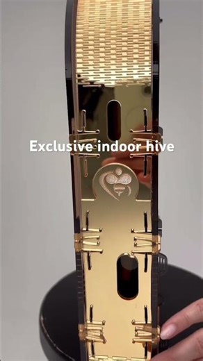 #shorts Innovative indoor hive 🐝