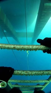 POV: Welding steel in the crushing silence of the deep ocean. | POV Universe