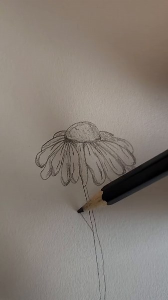 How to Draw a Realistic Daisy for Mother's Day!