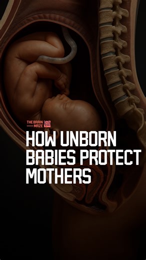 How Unborn Babies Protect Mothers - Fetal stem cells can migrate into the mother’s heart and heal injury—sometimes helping her survive a heart attack. These tiny cells can stay in her for decades, a permanent imprint of the life she carried. #fblifestyle If you’re enjoying the content and want to support us, consider subscribing! | The Brain Maze