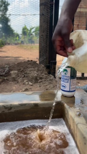 Biosecurity Measures for Poultry Farming Practices