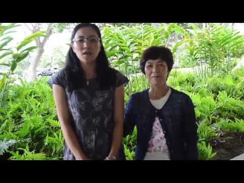 Japanese Nurses Use ELNEC | ELNEC International