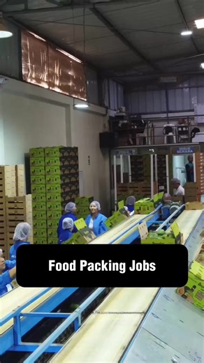 Learn more about conditions in food packing warehouse environments | Product Catalog