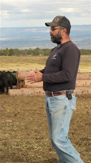 NEW EPISODE OUT! What are beef tribes? Why calve weaning is ethical? And more