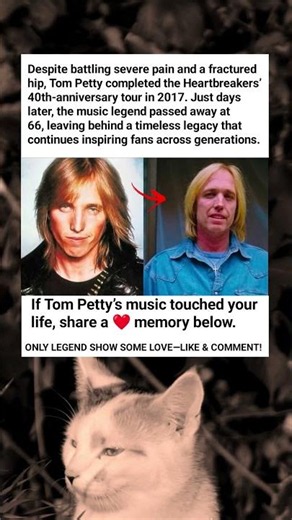 Tom Petty’s Final Tour Showed Incredible Strength And Dedication
