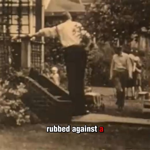 The Gentle Giant: Robert Wadlow’s Unbreakable Record #WorldRecordLegend #RobertWadlow #TheAltonGiant #HumanWonder | The Way We Were