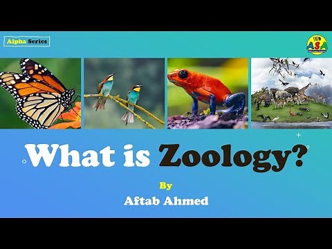 What is Zoology? (in English)