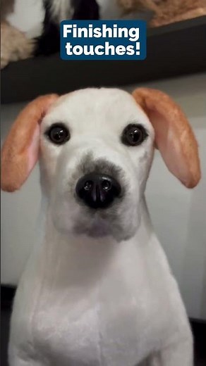 The Process of Airbrushing a Custom Petsie | MyPetsies©