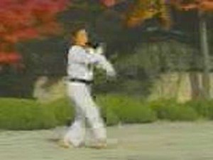 taekwondo form 2