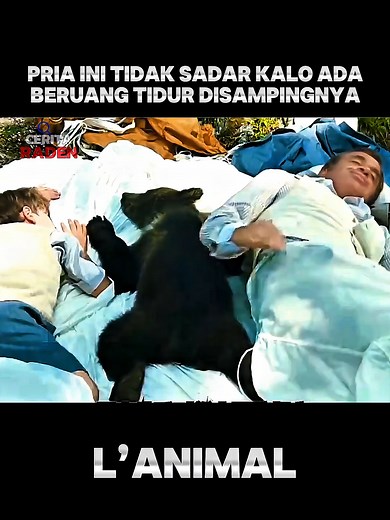 PRIA INI TIDAK SADAR KALO ADA BERUANG DI BELAKANGNYA #viral #fypシ゚ #film