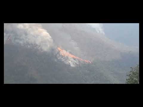 Burning the Field for Jhum Farming | Real Village Life in Northeast India