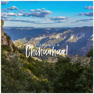 4.8K views · 45 reactions | ¡Tenemos el plan perfecto para ti! Qué dices: ¿Aceptas quedarte con nosotros? Da clic aquí https://bit.ly/3k2aH5W, elige tu hotel y reserva con tus puntos Fiesta Rewards. | Fiesta Rewards | Facebook