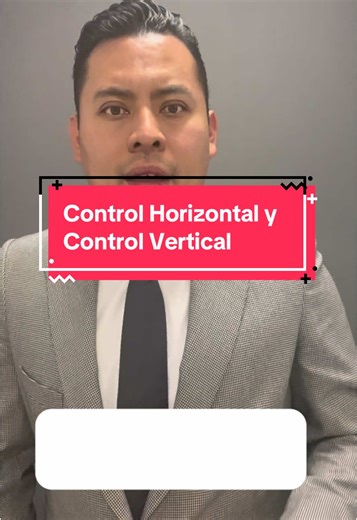 Control Horizontal y Vertical en Derecho Penal Mexicano