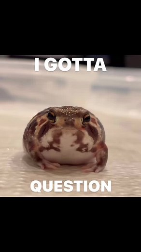 #greenscreen#greenscreenvideo #rainfrog#frog#budgettsfrog#frogtok#frogsoftiktok#africanbullfrog#frogs#froggy#toad#bullfrog#dumpy#dumpytreefrog#ribbit#animals#ribbits#frogss#amphibian#toad#toads#toadsoftiktok#toadtok#toadtiktok#toadlady#frogsquishmallow#happyfrog#babyfrog#tadpole#tadpoles#poisiondartfrog#dartfrog#animalsinthewild#dirt#crazyfrog#animalfight#mc#friends#frogcontent#frogvideos#frogmusic#singing#sound#notes#leapfrog#singing#happy#happyfrog#water#fan#hidingfrog#call#croak