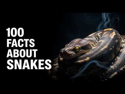 100 Facts About Snakes That Will Change How You See Them