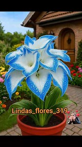 92K views · 7.5K reactions | bellas #DIYInspiration #decorativeitem #mindfulness #diyprojects #selfawareness #healingjourney #stoneware #socialresponsibility #seasonalgreetings | lindas_flores_319 | Facebook