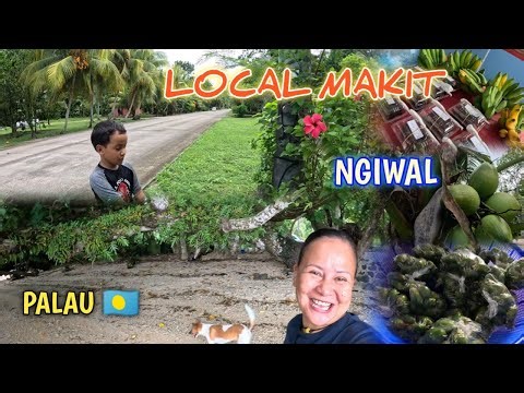 OUR FAVORITE THING TO DO IN ISLAND OF PALAU 🇵🇼 NGIWAL MARKET DAY