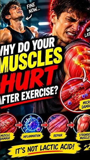 Why Do Your Muscles HURT After Exercise? 💪😳 #science #biologyfacts