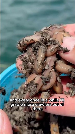 Use This Tip To Keep Your Boat CLEAN When Using Nightcrawlers!