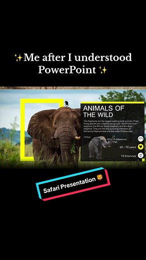 Mr. PowerPoint sur TikTok