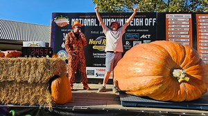 ‘Enormous’ Oregon-grown pumpkin wins National Pumpkin Weigh Off