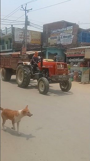 taktar amazing video 745