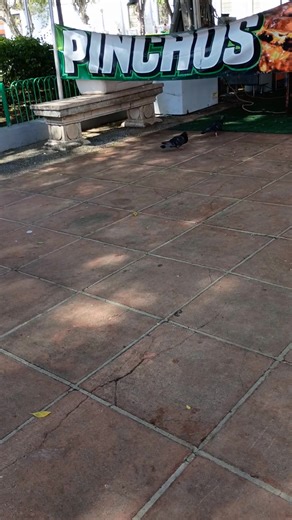 Julio Colon on Reels