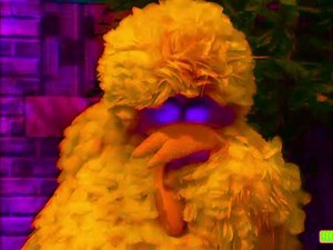 10 Big Bird Sleeping